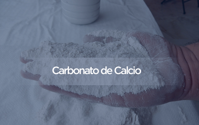 Carbonato de calcio en polvo